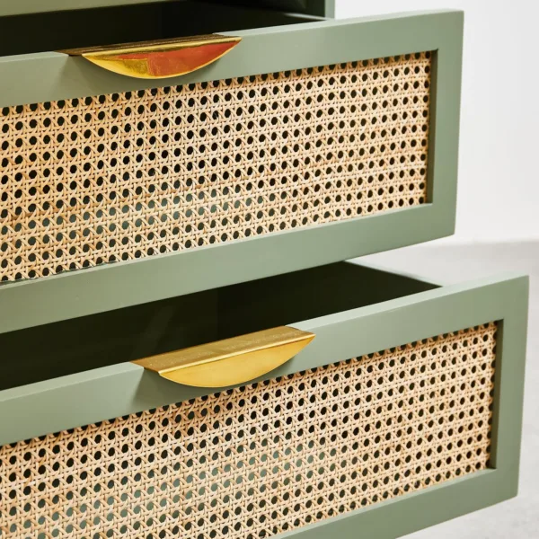 Sage green cane teak wood wardrobe by INTERIORZE